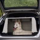 그루동물병원 이미지