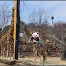 밸리 | 에버랜드 워킹사파리 로스트밸리 주말 후기