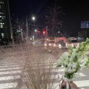 윤경꽃화원 이미지