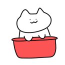 마곡 고양이 미용 호텔 이미지