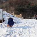 천의바람농장 이미지