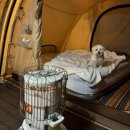 엔젤리너스 진주금호못점 | 경남 진주 청춘별곡 캠핑장 (벚꽃캠핑, 금산 금호지 엔젤리너스 벚꽃) B12 사이트 벚꽃명당추천