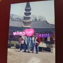 앨범을 정리하다가 이미지