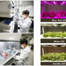 라이크팜 이미지