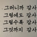 양지로166번길 이미지