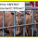 금천외양간