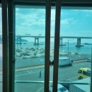 미송하모샤브샤브 이미지