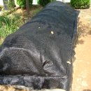 미니목장 이미지