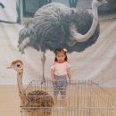 [7월 동물체험] 세상에서 가장 큰새 타조 이미지