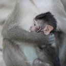 행복한실버홈 네이버블로그