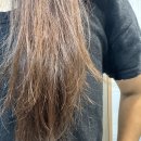 헤어인러브 | 극손상모 헤어팩 헤어케어 랭킹1위 바디브 미오 트리트먼트