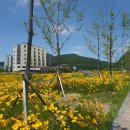 율하천자전거길 이미지