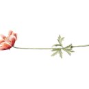 교대원 이미지