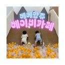평촌 베이비카페 ‘베베앙쥬’, 36개월 미만 아기만을 위한 프리미엄 키즈카페 후기🍼💕