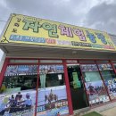 강화도 놀거리 | 산악사륜바이크 ATV, 동물먹이주기 체험까지 “강화도자연체험농장” 내돈내산 후기