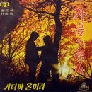 가을의 연인 - 태원 / (1968) 이미지