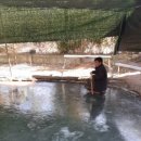 의군농장 | 영화 하얼빈 후기~가족들과 함께 보세요