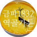 안역골 네이버블로그