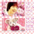 프리지아 B 이미지