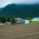 사교 마을회관 이미지