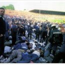 더콥(The kop)
