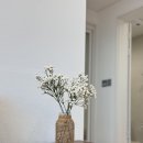 자파리203 이미지