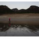 우이도 풍성사구(모래언덕) 이미지