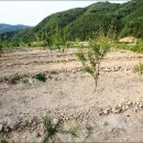 고령농장 이미지