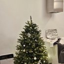 씨유무주행복점 | [강릉] 수영장, 히노끼, 불멍, 바베큐 다 있는 독채, 여유를 담다