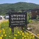 즐거운목장 | 아이랑 남해 양떼목장 양마르뜨언덕 생각보다 좋았던 후기
