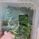 뜨란프라자 | 아이들과 함께 찾은 평택파충류샵 이충동점 방문 후기