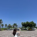 제주도 해수욕 스팟 추천] 아기 데리고 가기 좋은 김녕해수욕장 | 도로록 샌드위치 포장해서 여름휴양 후기