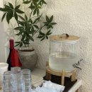 한지3길 | 전주 브런치카페 '피치' 저녁브런치 감성 있게 즐긴 후기