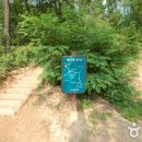 관악산 생태공원 Daum카페