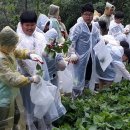 궁터마을 이미지