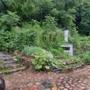 별꽃민박 이미지