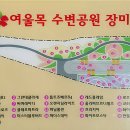 연기면_세종보 입구 이미지