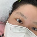차 브로우