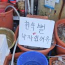 은포굴수산