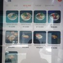 초밥대통령 인천숭의점 이미지