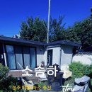 소솜,하루 네이버블로그