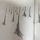 나비초등학교 이미지