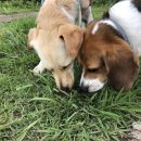 제주라이프 이미지