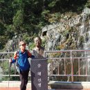 달성보 녹색길 이미지