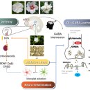 무궁화한의원 이미지