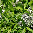 예당한의원 이미지