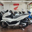 23년식 PCX125 1 이미지