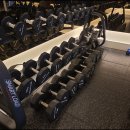 머슬메모리짐 이미지