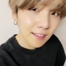 슈가 스타뉴스
