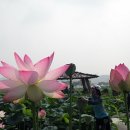 일심교회 이미지